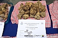 VBS_6950 - Fiera dei Santi - 12.ma Fiera Nazionale del Tartufo
